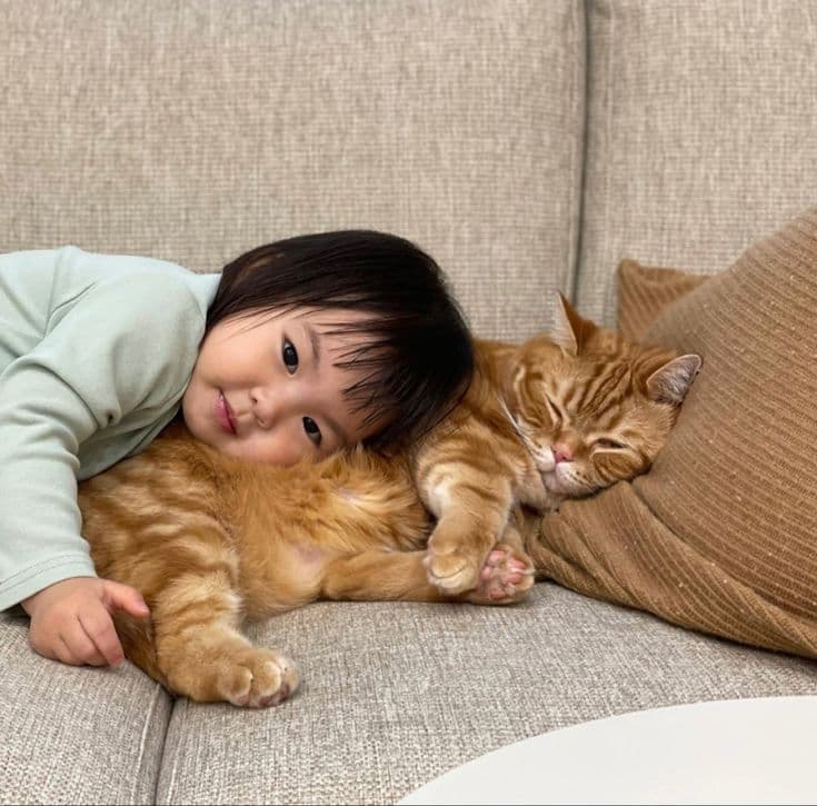 Mèo và em bé: thích nghi hành vi và đảm bảo an toàn trong gia đình đa thành viên