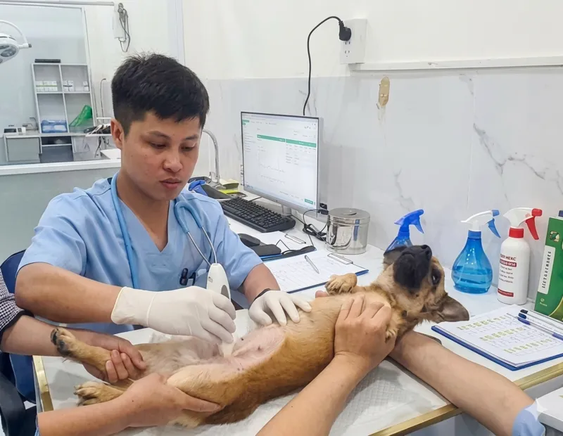 Bác sĩ giàu kinh nghiệm