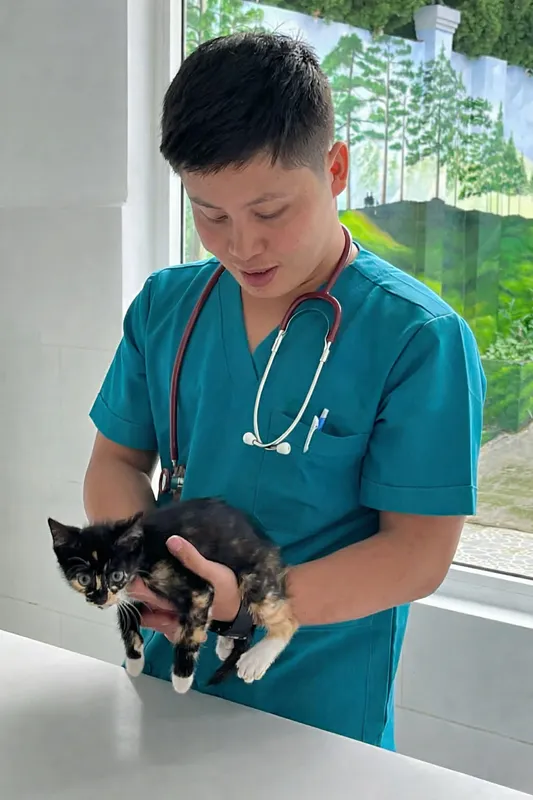 BS Chương nựng mèo 🐾